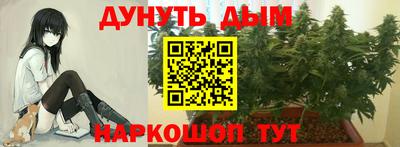 марки lsd Новозыбков