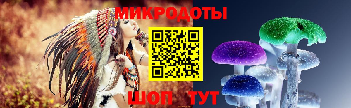 Галлюциногенные грибы Magic Shrooms  Вход с VPN  Северобайкальск 